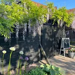 Im Schönen #2 Apartment