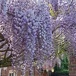 Im Schönen #2 Apartment