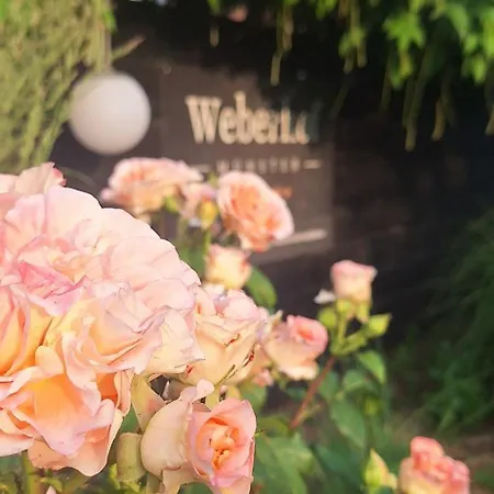 Im Schönen #2 Münster