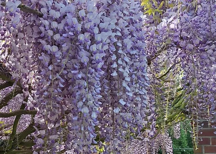 Weberhof-muenster 2 Apartment