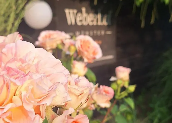 Weberhof-muenster 2 Munster (North Rhine-Westphalia)